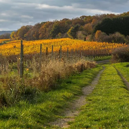 Ahrterrassen Penthouse *