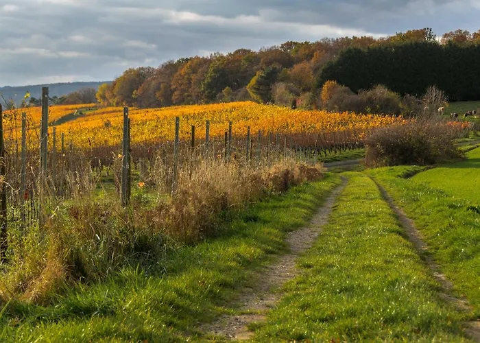 Ahrterrassen Penthouse *